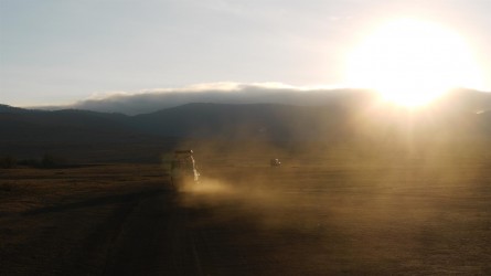 Morgendliche Pirschfahrt im Ngorongoro Krater