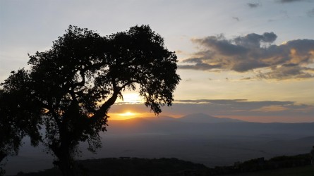 Blick von der Lodge in den Ngorongoro Krater