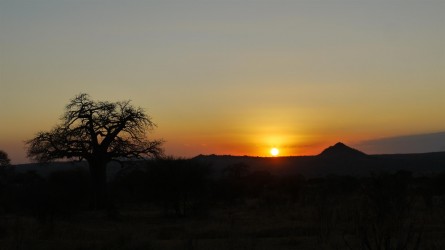 Sonnenuntergang, Tarangire