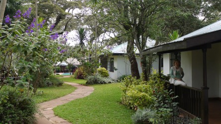 Urlaubsausklang im Karen Blixen Cottage, Nairobi