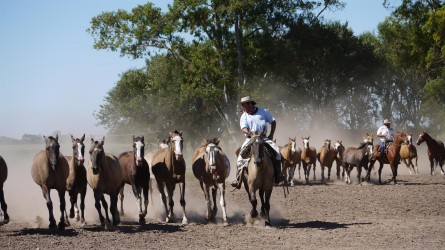 Gauchos, Estancia Santa Susanna