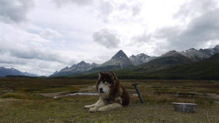 Husky-Farm im Valle de Tierra Mayor