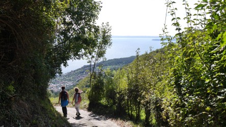 Abstieg zurück nach Gargnano