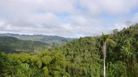 Nationalpark Topes de Collantes