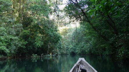 Auf einem Seitenarm des Río Chagres