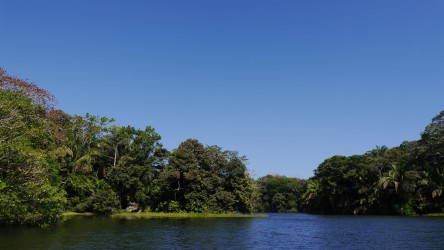 Bootsfahrt am Gatún See