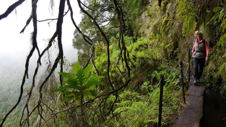 Levadawanderung Caldeirão Verde