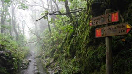 Levadawanderung Caldeirão Verde