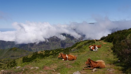 Wanderung Chão dos Terreiros