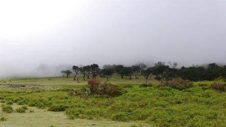 Wanderung Fanal nach Fio