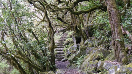 Wanderung Fanal nach Fio