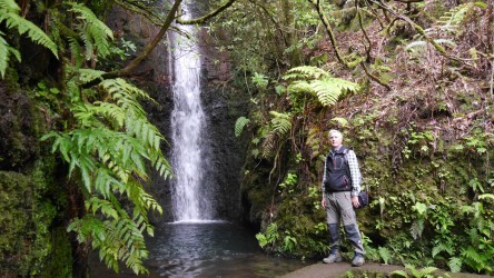 Wanderung Levada do Moinho - Mühlenlevada