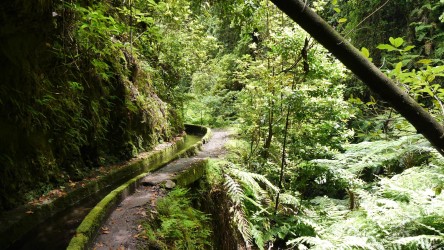 Levadawanderung Ribeira da Janela