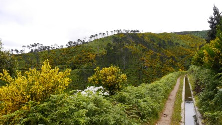 Wanderung Ponta do Pargo