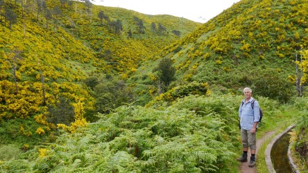 Wanderung Ponta do Pargo
