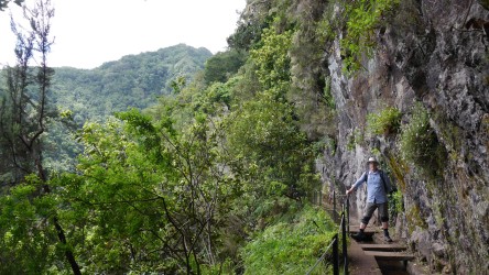 Wanderung Levada do Rei