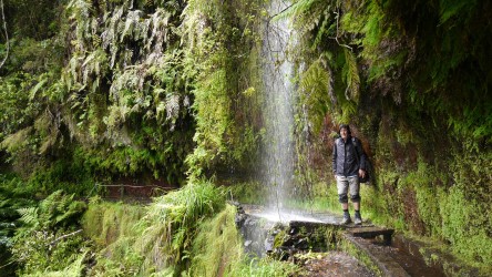 Wanderung Levada do Rei