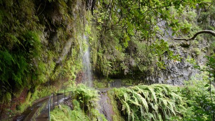 Wanderung Levada do Rei