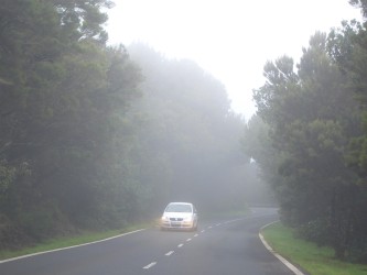 Parque Nacional de Garajonay