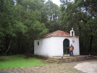 El Cedro Eremita de Lourdes