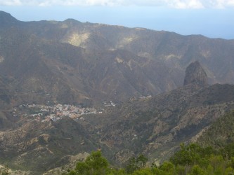 Auf dem Bosque del Cedro