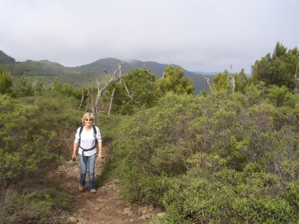 Wanderung am Alto de Garajonay