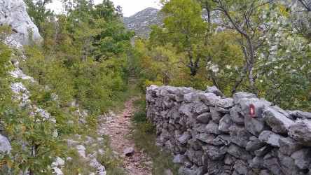 Entlang einer Steinmauer Richtung Njive