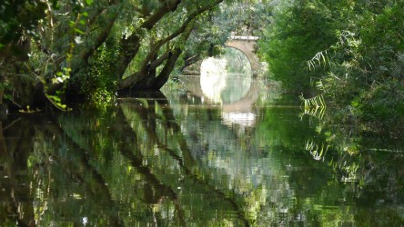 Bootsfahrt, Fiume Ciane