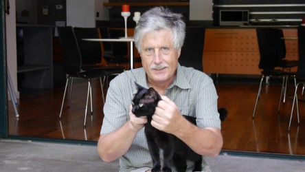 Hauskatze, B&B OttoMood