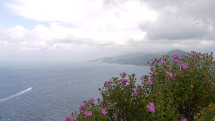 Abschied nehmen von Capri