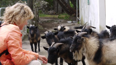 Hertas Urlaubsfreunde, Villa Jovis