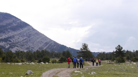 Hochebene Veliko Rujno