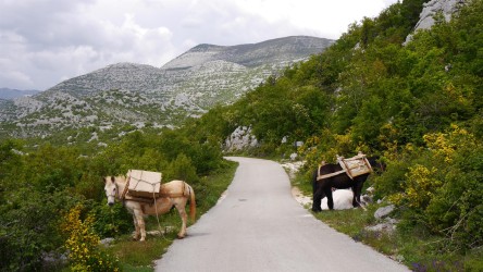Lastentransport zu Michaels Berghaus