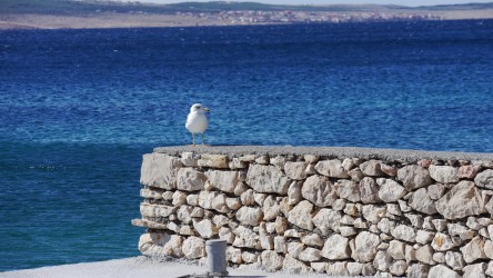 Besucher auf der Mole