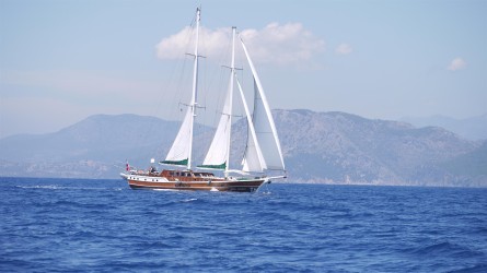 Am Rückweg nach Ekinçik