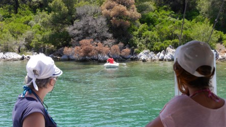 Landleine, O. Panormos, Skopelos