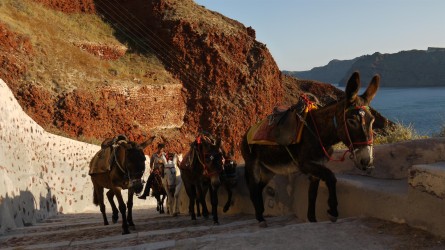 Treppenweg nach Ammoudi