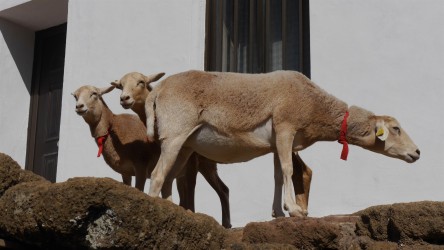 Unterwegs nach Chinamada