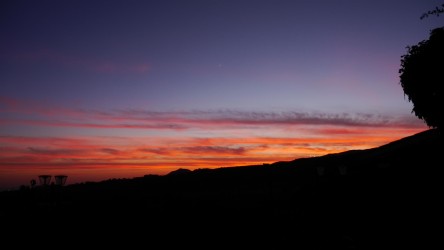 Abendstimmung im Garten