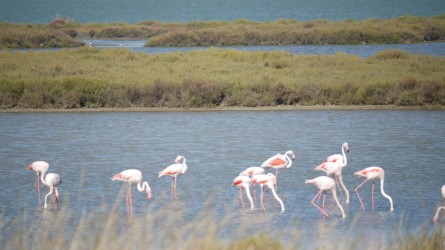 Unterwegs Richtung Carnon-Plage