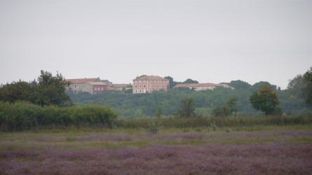 Lavendelfelder, Port Cassafières