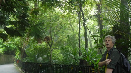 Peak Rundweg, Hongkong Island