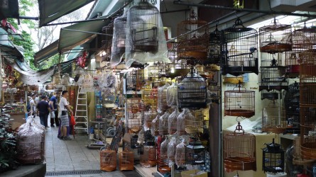 Vogelmarkt, Mongkok Kowloon