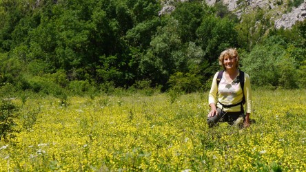Blumenwiese beim Krupa-Fluss
