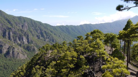 Wanderung Pico Bejenado