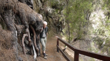 Wanderung durch die Caldera de Taburiente