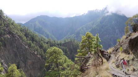 Wanderung entlang Barranco de Las Angustias