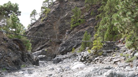Wanderung entlang Barranco de Las Angustias
