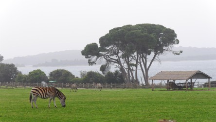 Safari Park Veli Brijuni