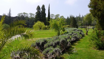 Botanischer Garten Veli Brijuni